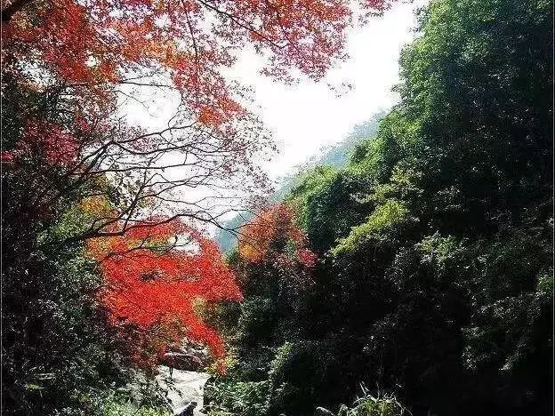 （保利节气）天气转凉，你的新衣服提上议程了吗