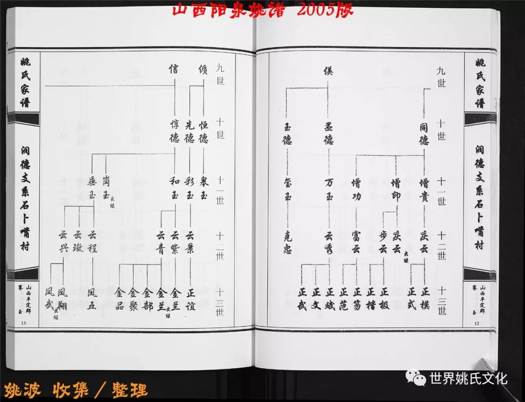 山西平定郡赛玉姚氏家谱山西平定郡赛玉姚氏家谱,始祖姚得仁,明代