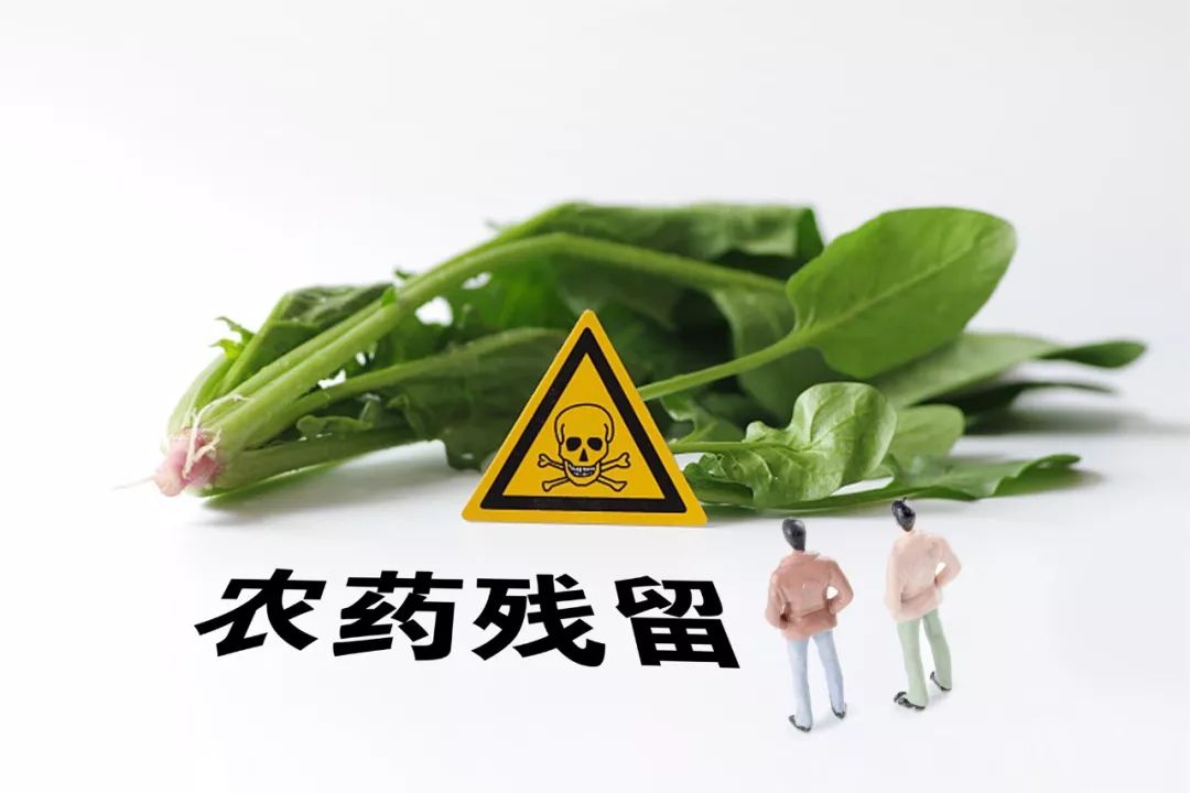 2019农药残留榜出炉榜首竟然是它我们每日常吃的食物都那么毒