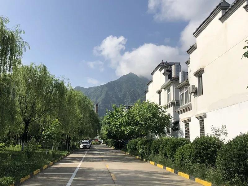 西安高新道路规划图