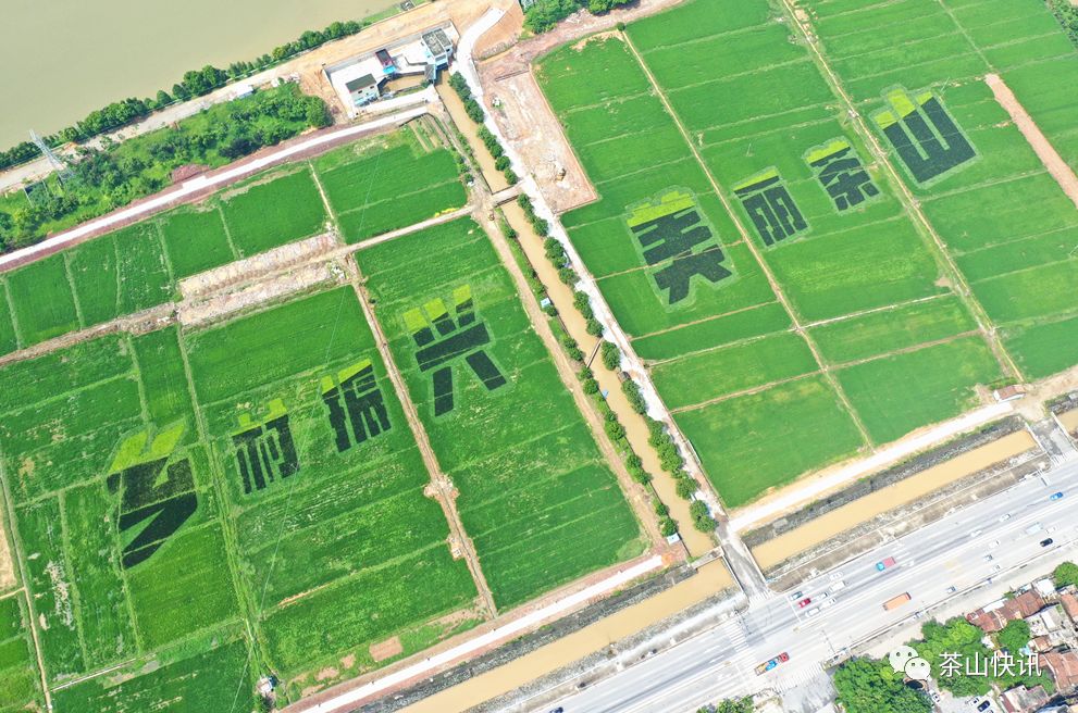 埔田镇GDP_埔田镇车田村