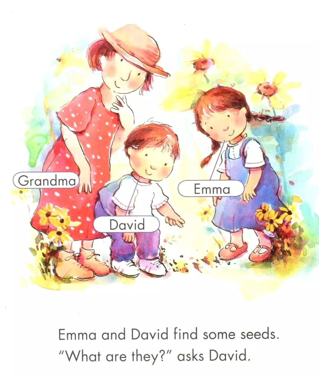 "它们是什么?"大卫问. "they are sunflower seeds" says grandma.