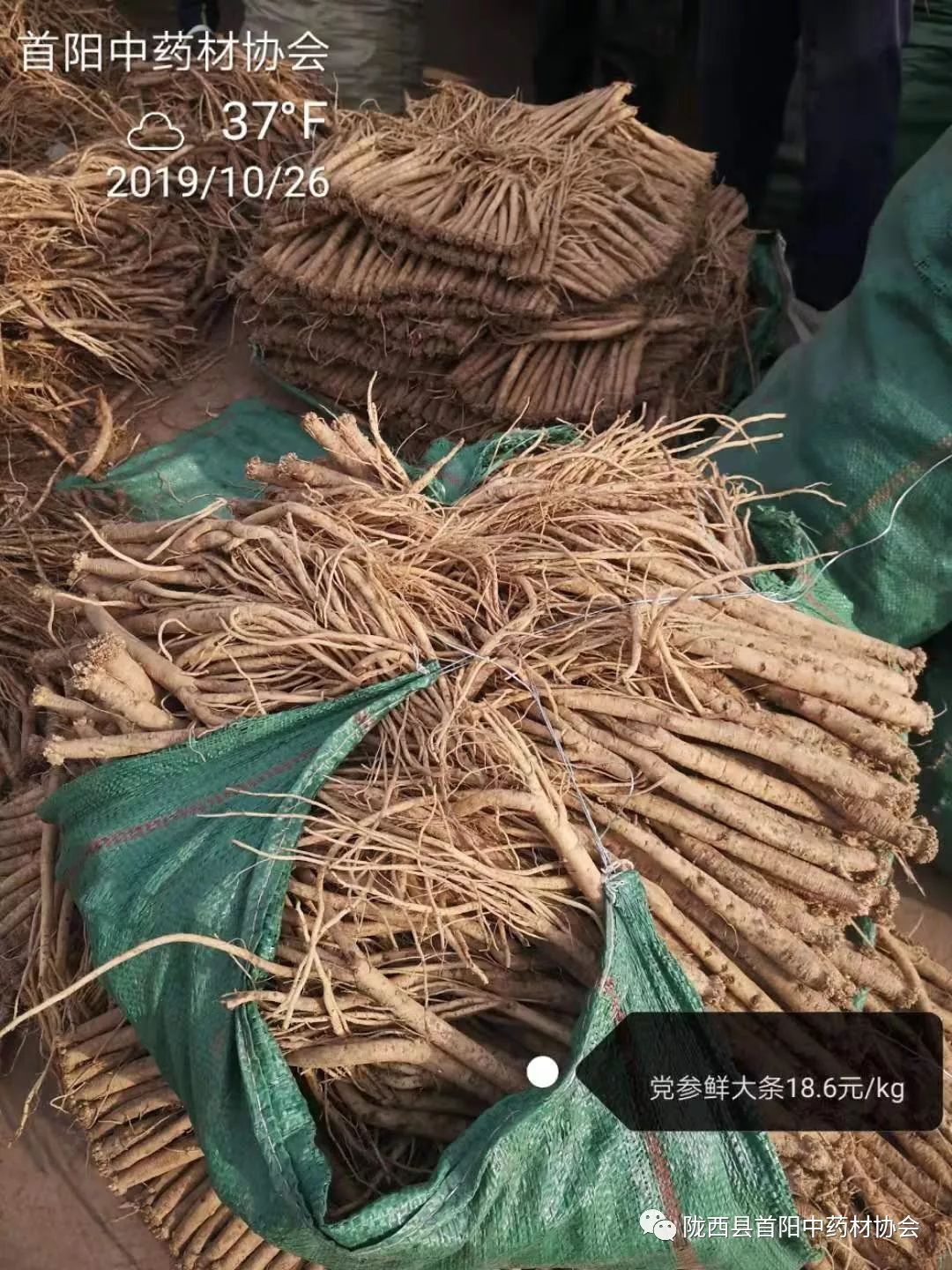 首阳药材市场10月26日行情快讯