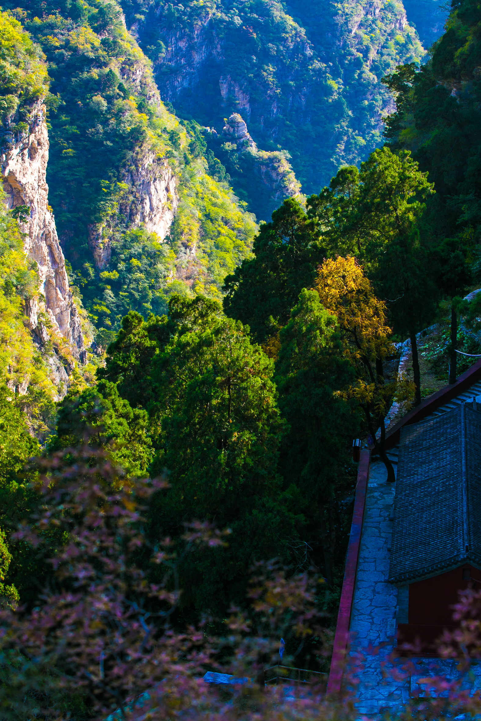 去上方山赏秋，竟发现大太监冯宝手刻真迹佛教《四十二章经》