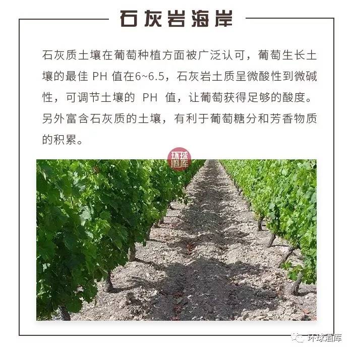 罗萨舍酒庄曲谱_罗萨舍酒庄巴杨曲谱