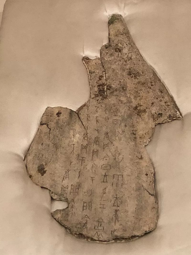 一片甲骨惊天下,未解之谜待探索