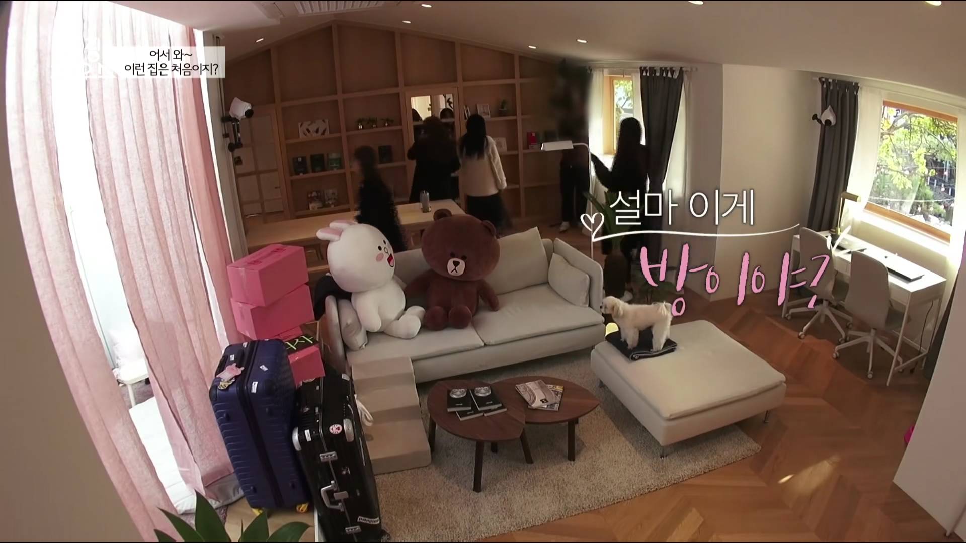 韩国当红女团住什么blackpinkhouse大公开到处装满粉红色