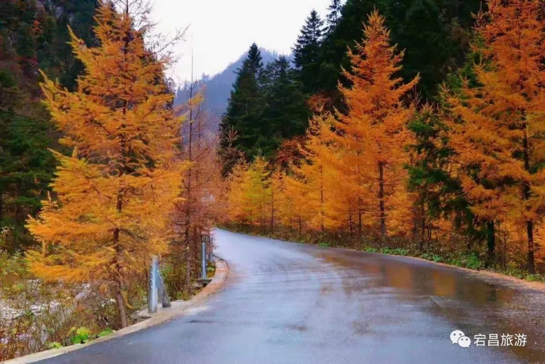 旅游新发现 | 2019官鹅沟最后的香艳,留给好