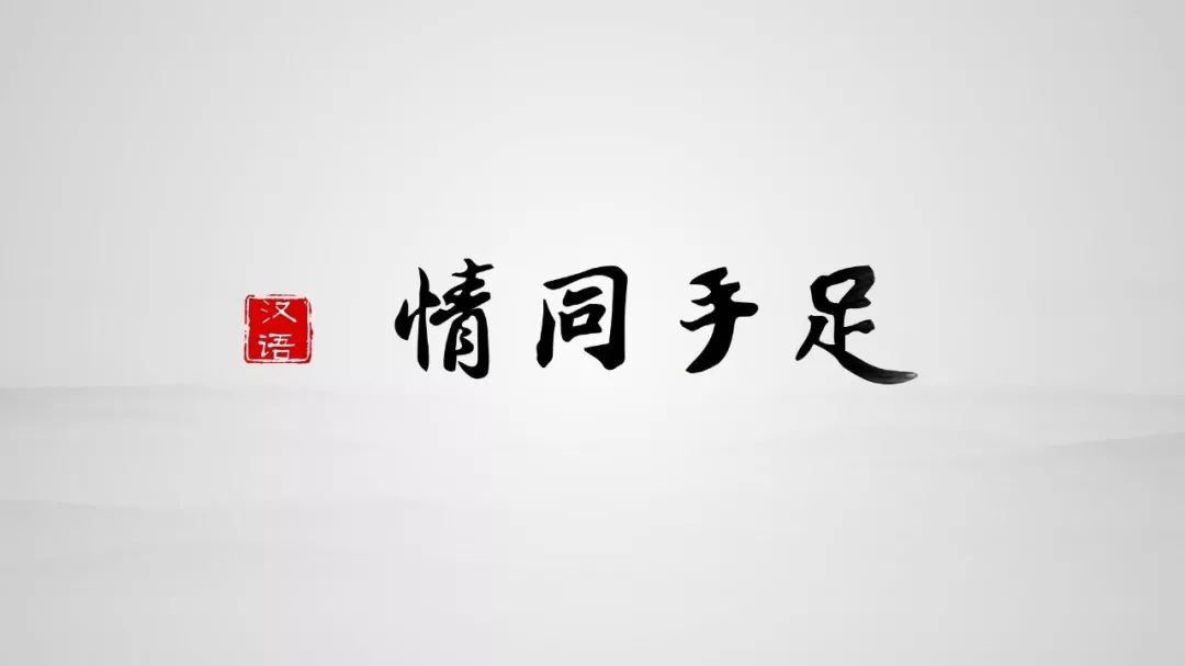 随时学小课情同手足