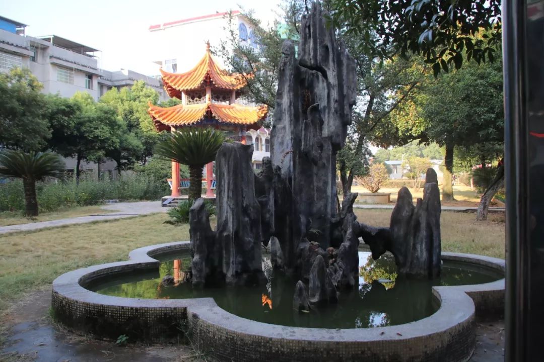 带你走进宁远三中领略校园之美