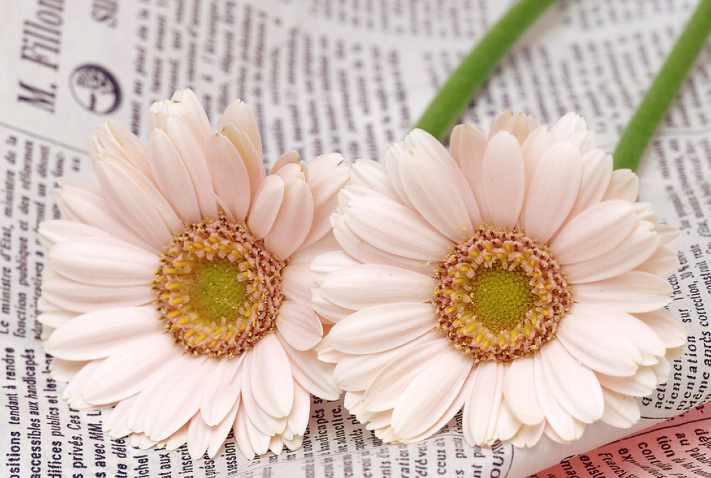 72518c99d1984206b9540a08d59ae8c2.png