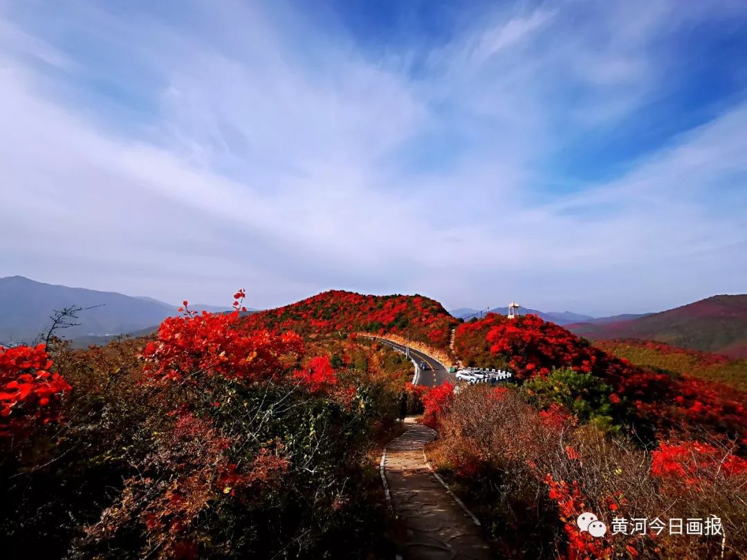 河南渑池县韶山红叶红满山