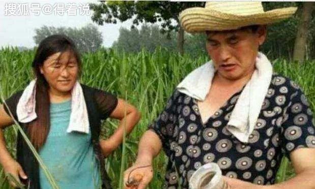 最火的时候回老家种地,"农民歌手"朱之文的人设立住了