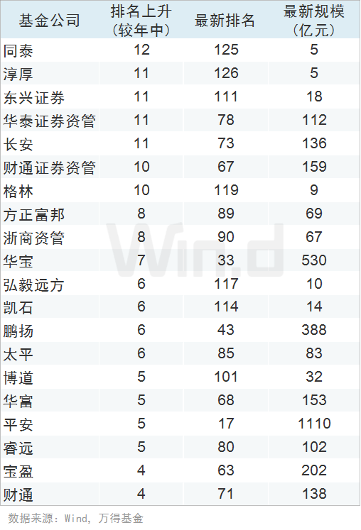 2019年股票基金排行_财经