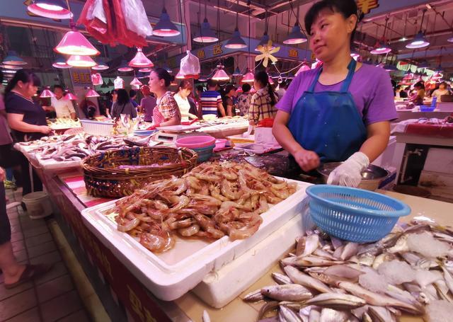 惠来人口多少人口_惠来海滨度假村