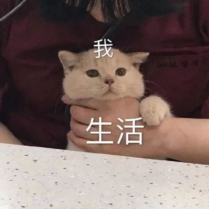 突如其来的心塞