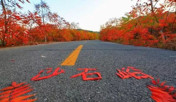 沙石峪的"红叶大道"也如期而至迎来了最美的秋季十月的遵化
