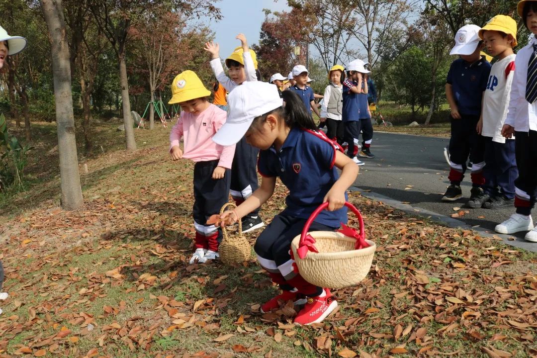 autumn outing| 秋日 · 自然 · 野趣