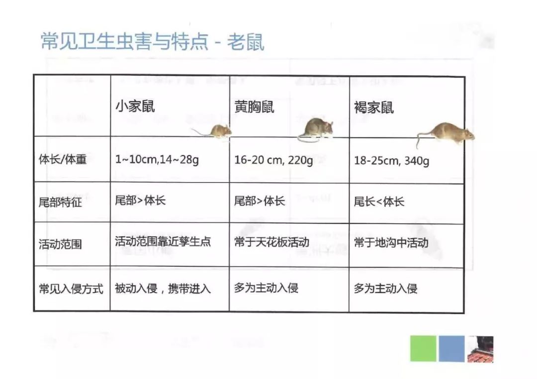 食品厂虫鼠害控制资料收藏备用