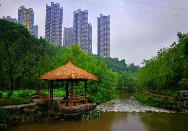 重庆第一个国家级湿地公园--彩云湖国家湿地公园
