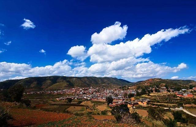 中國農村地位最高的狗，吃飯都須先讓狗吃飽，村民才能享受美食 旅遊 第1張