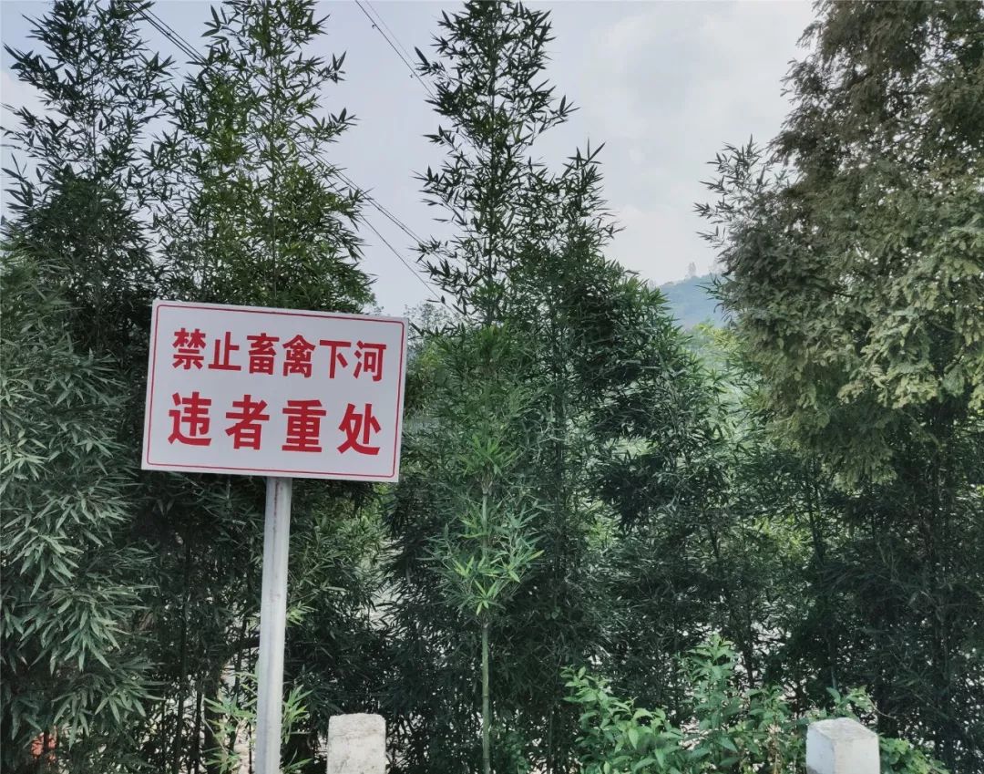 高河多少人口_城口多少人口(2)