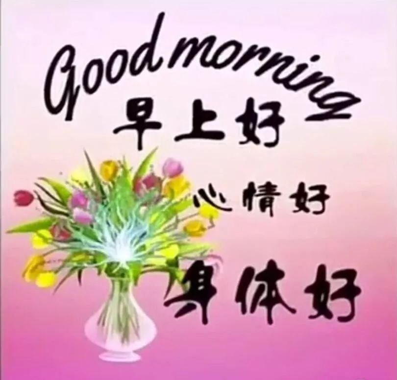 早上好图片带字和鲜花 早上好问候语带鲜花表情包