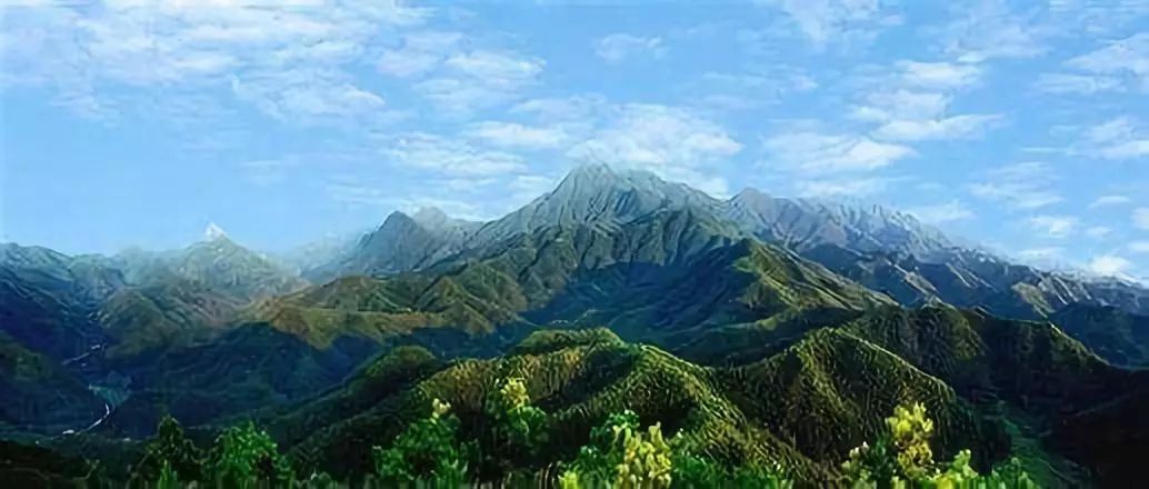(网络图) 江西九连山级自然保护区位于南岭山脉赣粤的龙南县