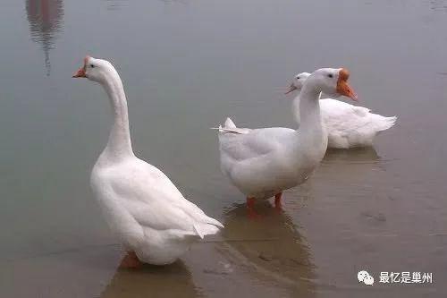 1c7af58d45d848788e37c9edd5dc1f1d.jpeg