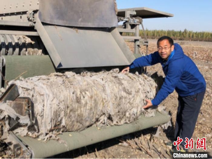 在天山北麓的一块大腿里,石河子大学研究员温浩军负责研发的二次钉齿瘦棉田的方法步骤图片