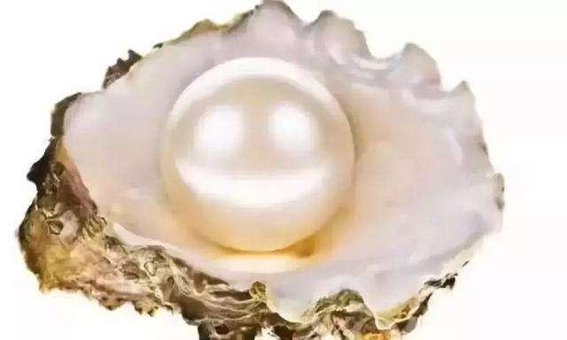 珍珠的排名_珍珠奶茶图片(3)