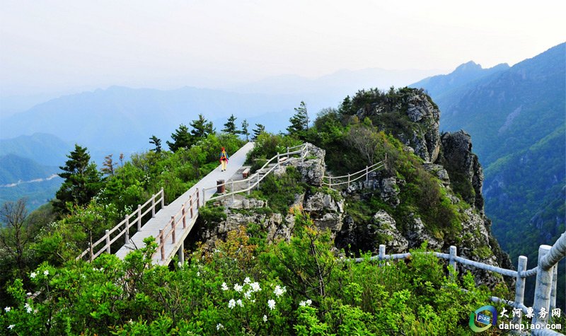 中国旅游景区大全之牛背梁国家森林公园