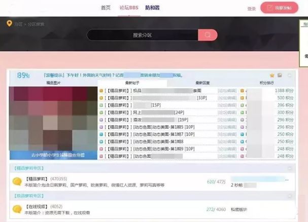 域名信息备案管理系统的截图 网站截图 这其中有大量儿童裸露的照片