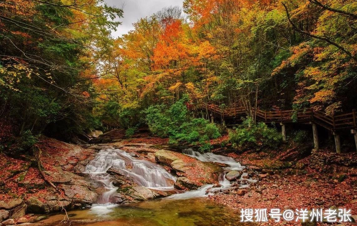 黎坪国家森林公园
