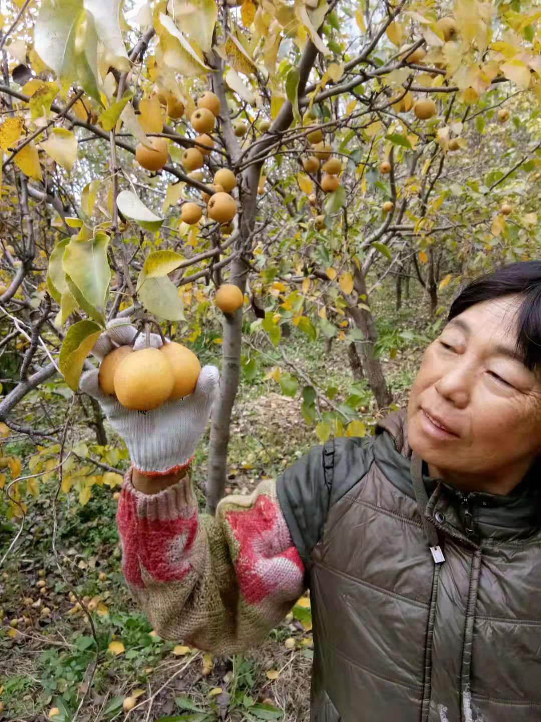 鞍山市铁东区的人口密度_鞍山市铁东区地图(3)