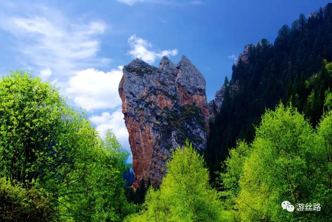 卓尼县大峪沟景区