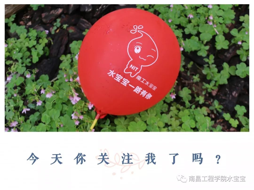 现在请各位宝粉们随水宝宝一起 南昌工程学院第三十六届田径运动会 在