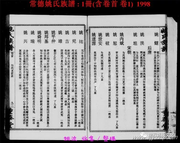 湖南常德姚氏族谱1998版