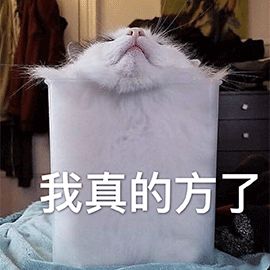 舞蹈生的表情包,哈~哈~哈~哈