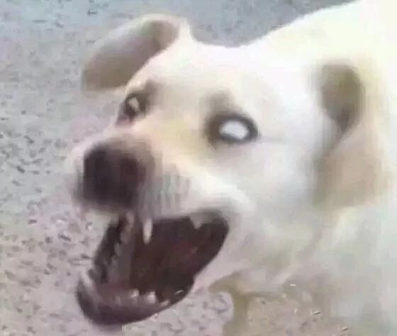 b9fedd4047744357b9f395c143e1d6b9.jpeg