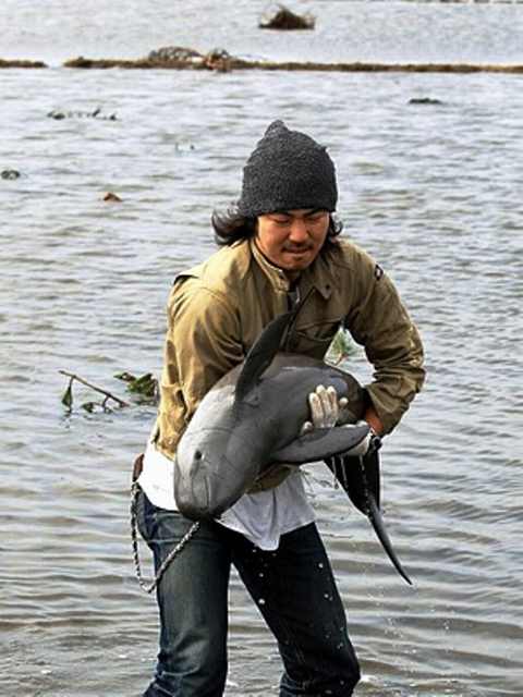 直擊人與動物最溫暖人心的瞬間，哪一個最讓你感動？ 寵物 第5張