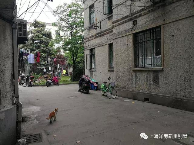 愚园路749弄高深莫测的神秘弄堂