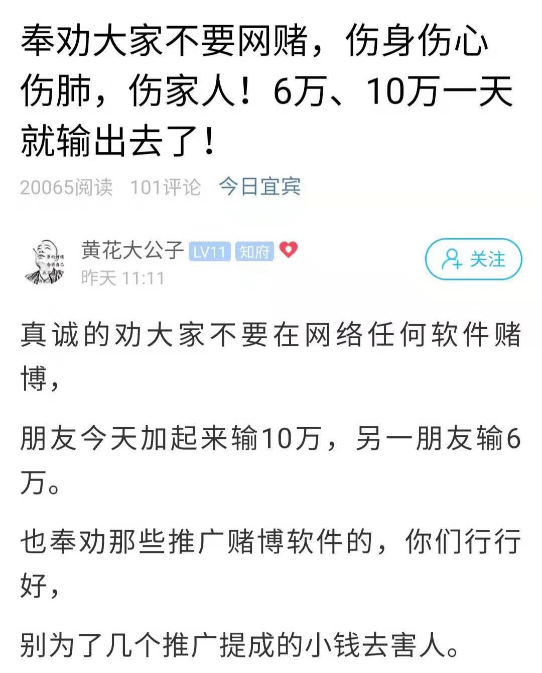 输了10万怎么办