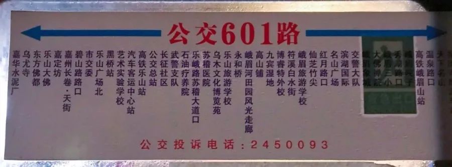 乐山601路"旅游观光"公交车,终于火了!_峨眉