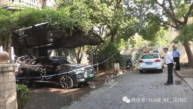 KK体育申晨间 别墅烧成了别野！上海一栋超千万元的别墅被烧毁2人骨折1人灼伤(图6)