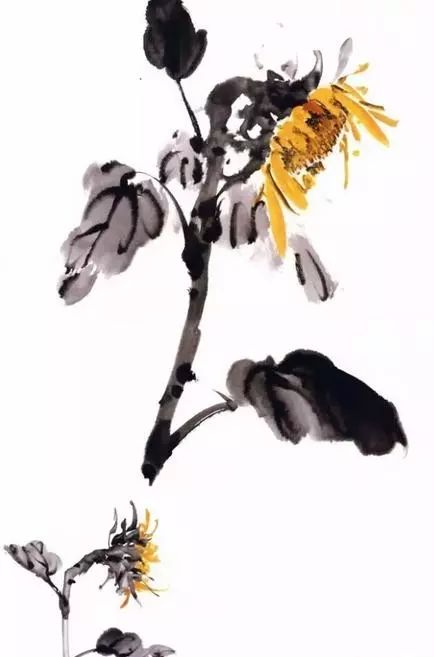 国画教程彩墨向日葵细节画法