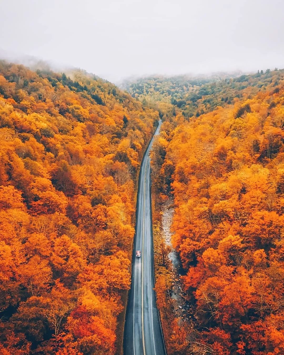 通往秋天的公路,太美了!