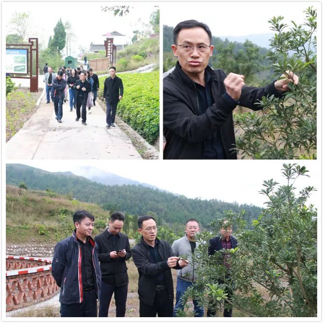 福应街道考察组赴旺苍县东河镇考察东西部扶贫协作工作