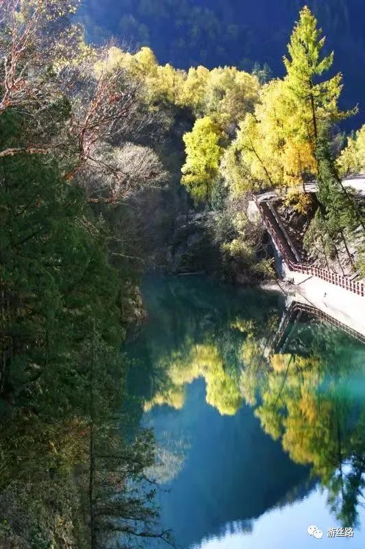 卓尼县大峪沟景区