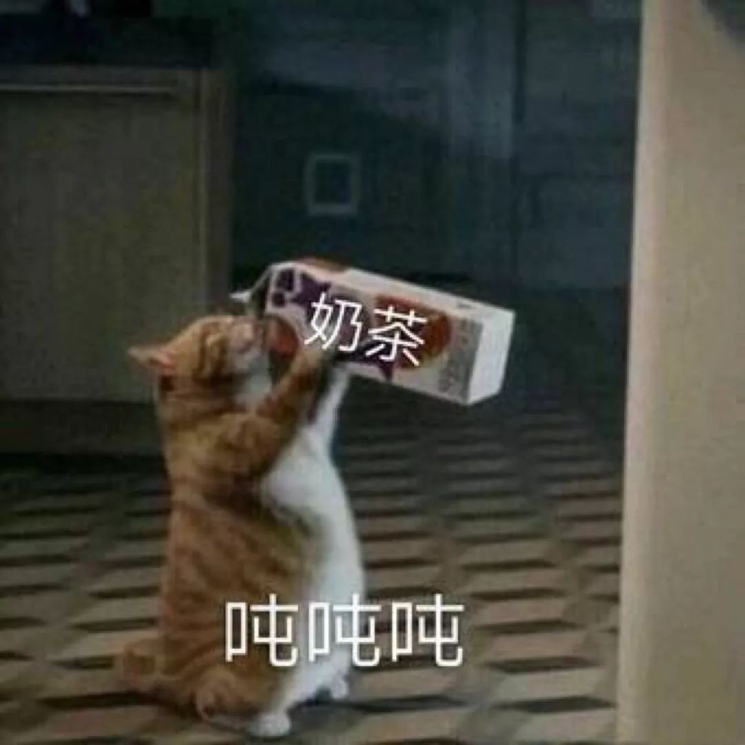 舞蹈生的表情包,哈~哈~哈~哈